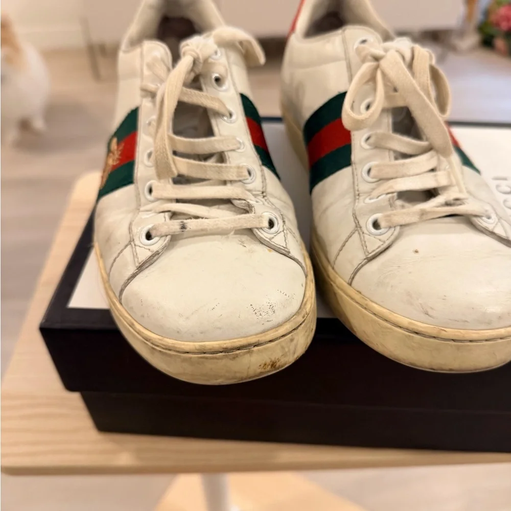 White Leather Sneaker with Red & Green Stripe and Embroidered Bee - Picture 2 of 6